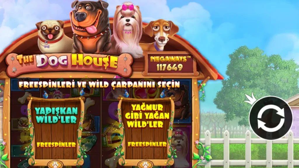Bahis1000 The Dog House Megaways